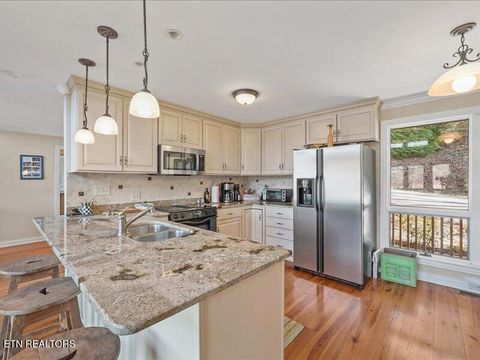 Tiny photo for 310 Hagaman Lane, Andersonville, TN 37705 (MLS # 1326472)