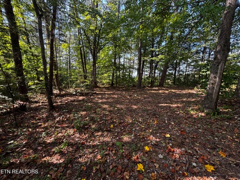 Tiny photo for 6422 Tazewell Pike, Knoxville, TN 37918 (MLS # 1355872)