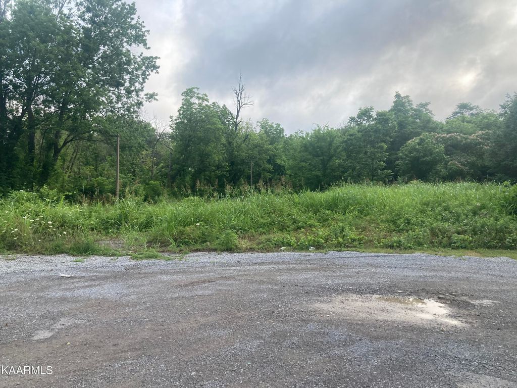 Photo of 832 Mccammon Ave, Alcoa, TN 37701 (MLS # 1194602)