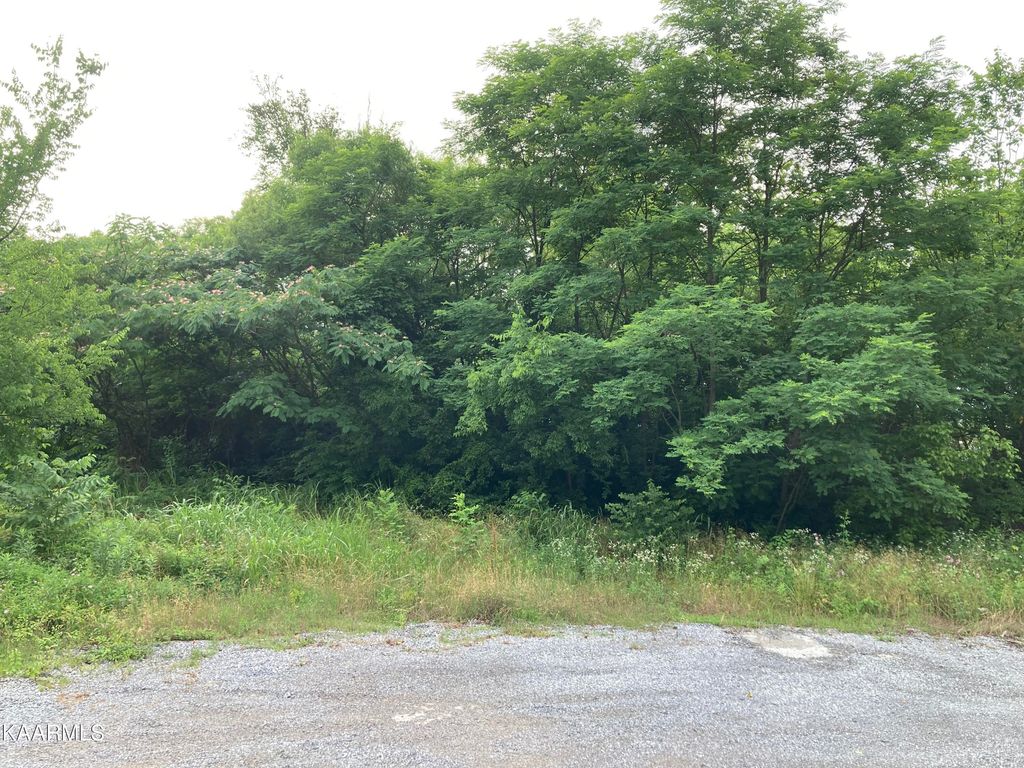 Photo of 832 Mccammon Ave, Alcoa, TN 37701 (MLS # 1194602)