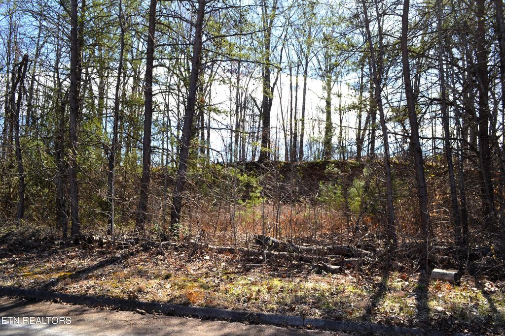 Photo of Miller Circle, Seymour, TN 37865 (MLS # 1291543)