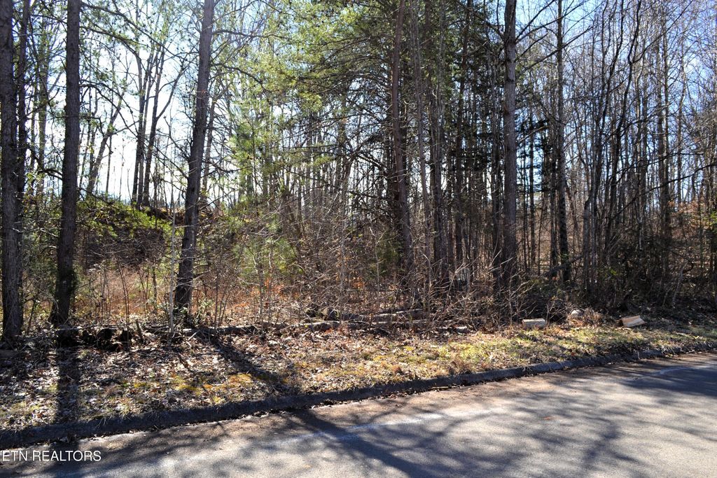 Photo of Miller Circle, Seymour, TN 37865 (MLS # 1291543)