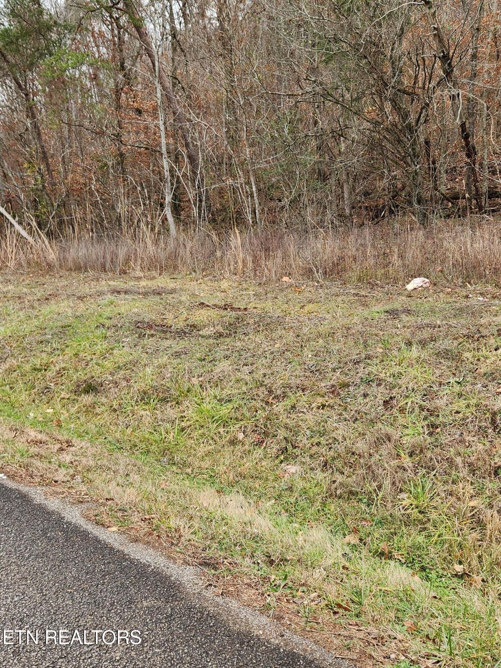 Photo of 912 Belltown Rd Rd, Tellico Plains, TN 37385 (MLS # 1285227)