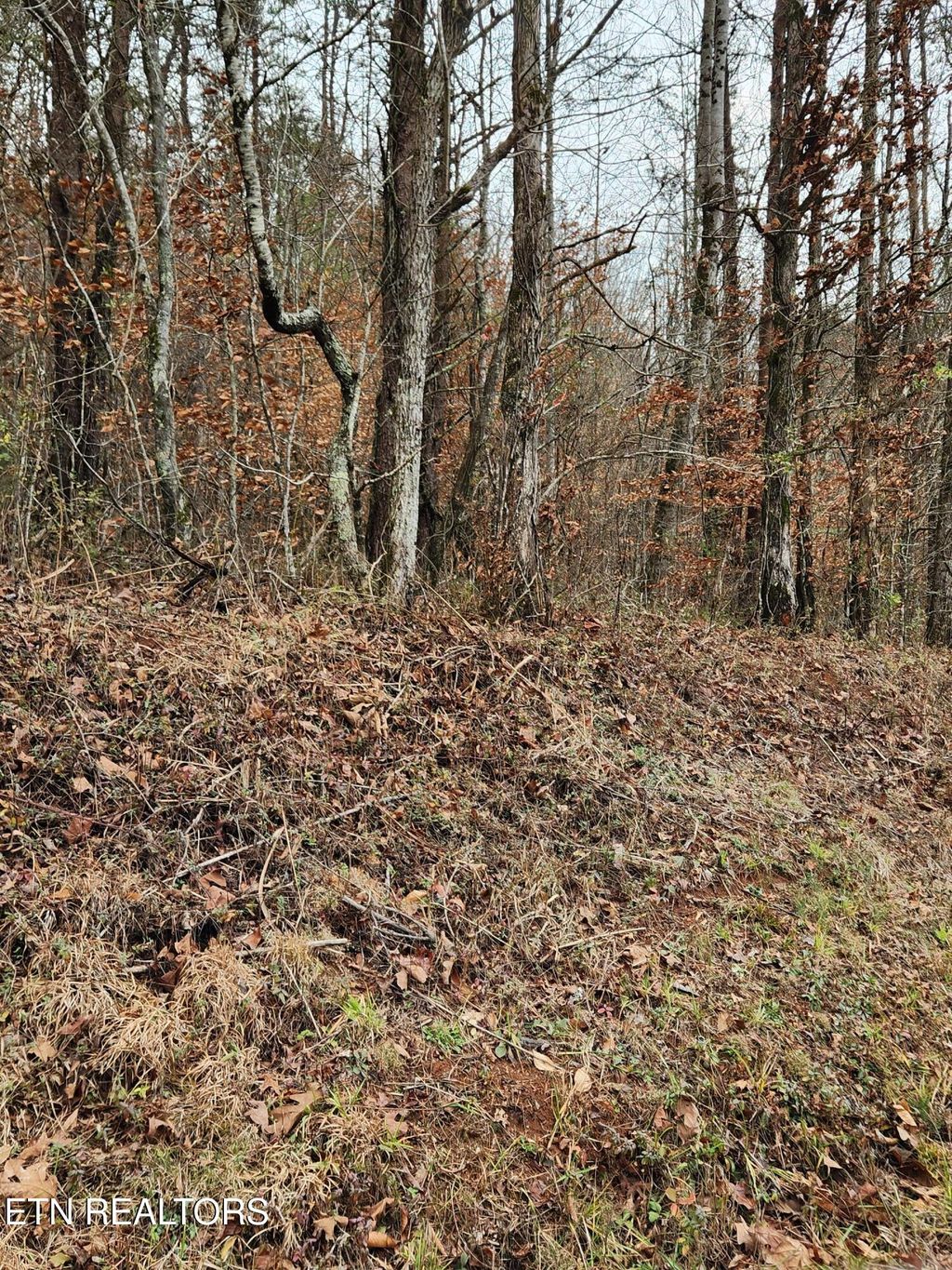 Photo of 912 Belltown Rd Rd, Tellico Plains, TN 37385 (MLS # 1285227)