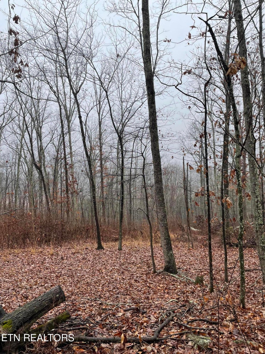 Photo of 1 Sussex Drive, Dayton, TN 37321 (MLS # 1252492)