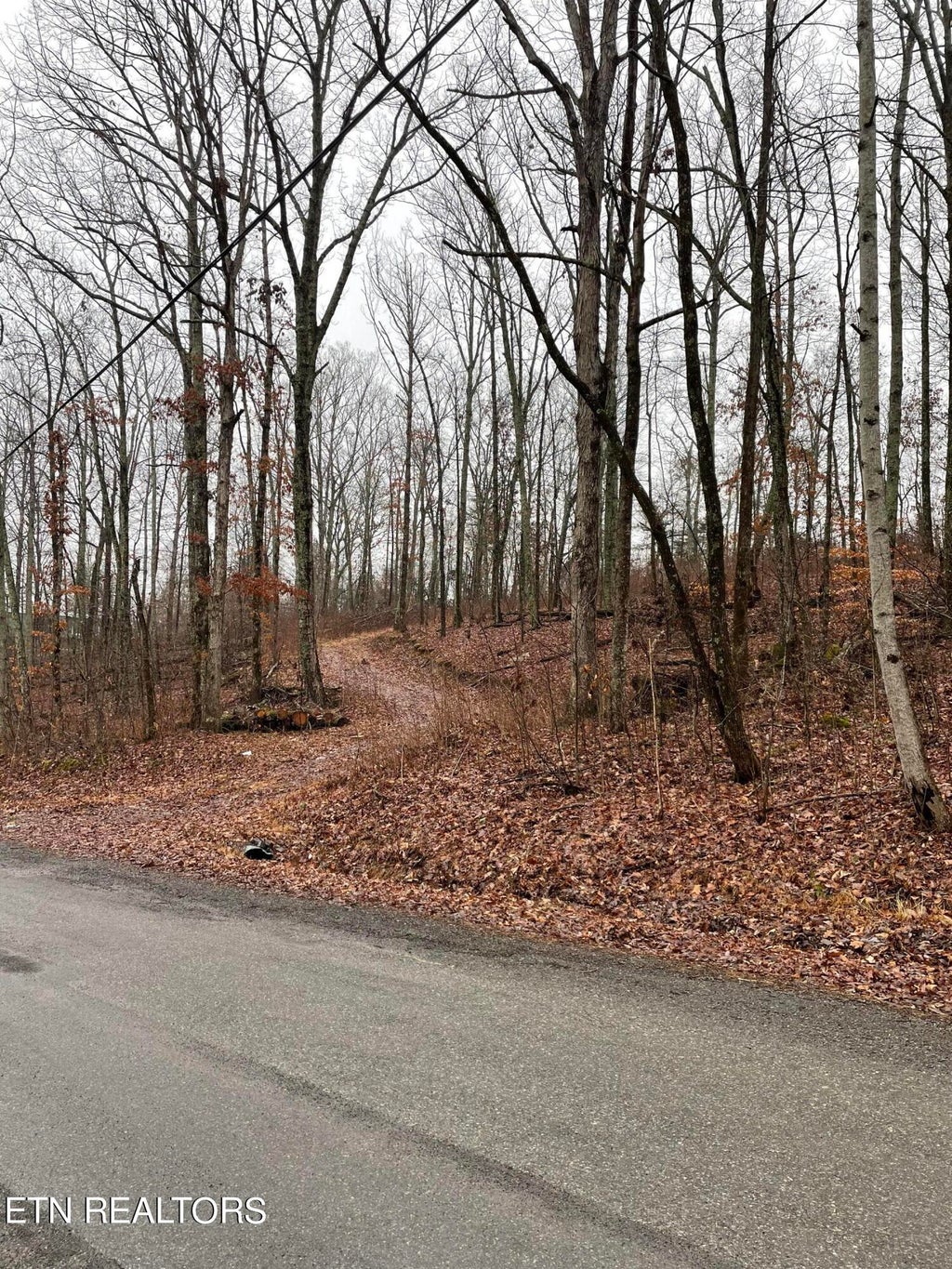 Photo of 1 Sussex Drive, Dayton, TN 37321 (MLS # 1252492)