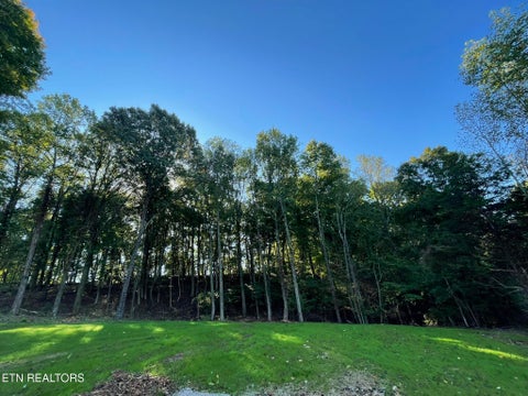 Tiny photo for Williams Bend Rd #Lot 2, Knoxville, TN 37932 (MLS # 1357989)