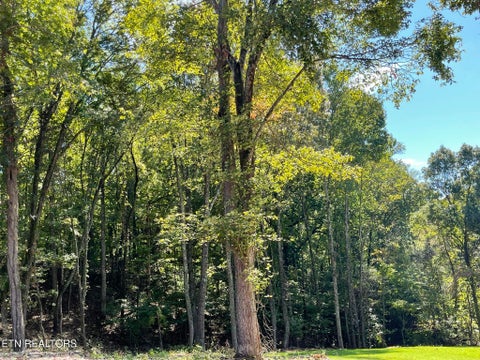 Tiny photo for Williams Bend Rd #Lot 2, Knoxville, TN 37932 (MLS # 1357989)