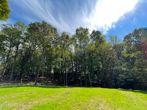 Tiny photo for Williams Bend Rd #Lot 2, Knoxville, TN 37932 (MLS # 1357989)