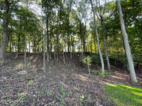 Tiny photo for Williams Bend Rd #Lot 2, Knoxville, TN 37932 (MLS # 1357989)