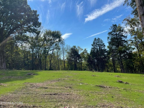 Tiny photo for Williams Bend Rd #Lot 2, Knoxville, TN 37932 (MLS # 1357989)