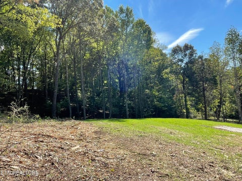 Tiny photo for Williams Bend Rd #Lot 2, Knoxville, TN 37932 (MLS # 1357989)