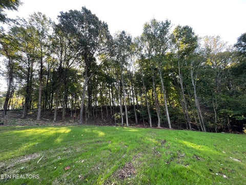 Tiny photo for Williams Bend Rd #Lot 2, Knoxville, TN 37932 (MLS # 1357989)