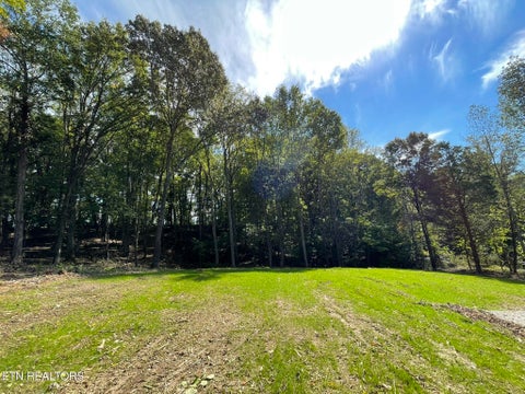 Tiny photo for Williams Bend Rd #Lot 2, Knoxville, TN 37932 (MLS # 1357989)