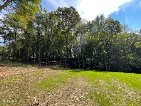 Tiny photo for Williams Bend Rd #Lot 2, Knoxville, TN 37932 (MLS # 1357989)