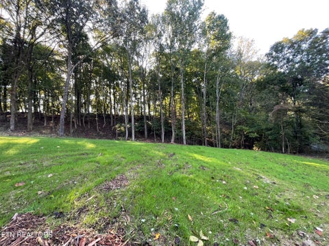 Tiny photo for Williams Bend Rd #Lot 2, Knoxville, TN 37932 (MLS # 1357989)