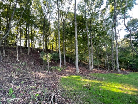 Tiny photo for Williams Bend Rd #Lot 2, Knoxville, TN 37932 (MLS # 1357989)