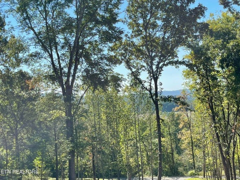 Tiny photo for Williams Bend Rd #Lot 2, Knoxville, TN 37932 (MLS # 1357989)