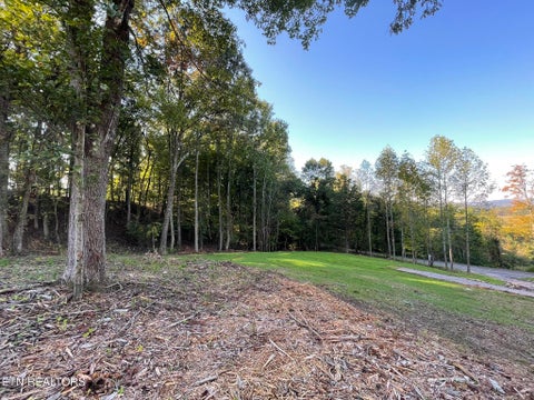 Tiny photo for Williams Bend Rd #Lot 2, Knoxville, TN 37932 (MLS # 1357989)