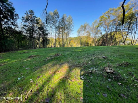 Tiny photo for Williams Bend Rd #Lot 2, Knoxville, TN 37932 (MLS # 1357989)