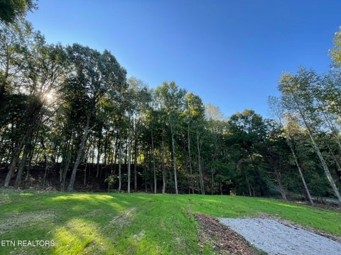 Tiny photo for Williams Bend Rd #Lot 2, Knoxville, TN 37932 (MLS # 1357989)
