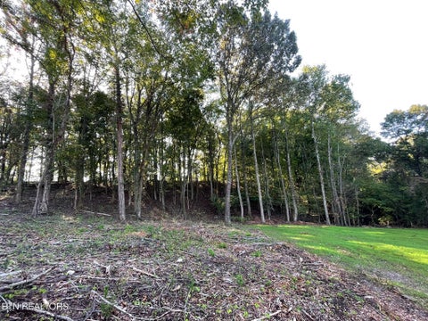 Tiny photo for Williams Bend Rd #Lot 2, Knoxville, TN 37932 (MLS # 1357989)
