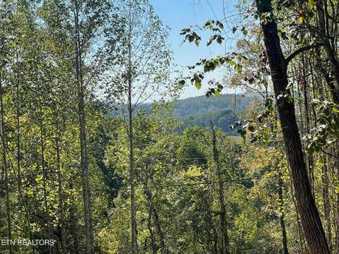 Tiny photo for Williams Bend Rd #Lot 2, Knoxville, TN 37932 (MLS # 1357989)