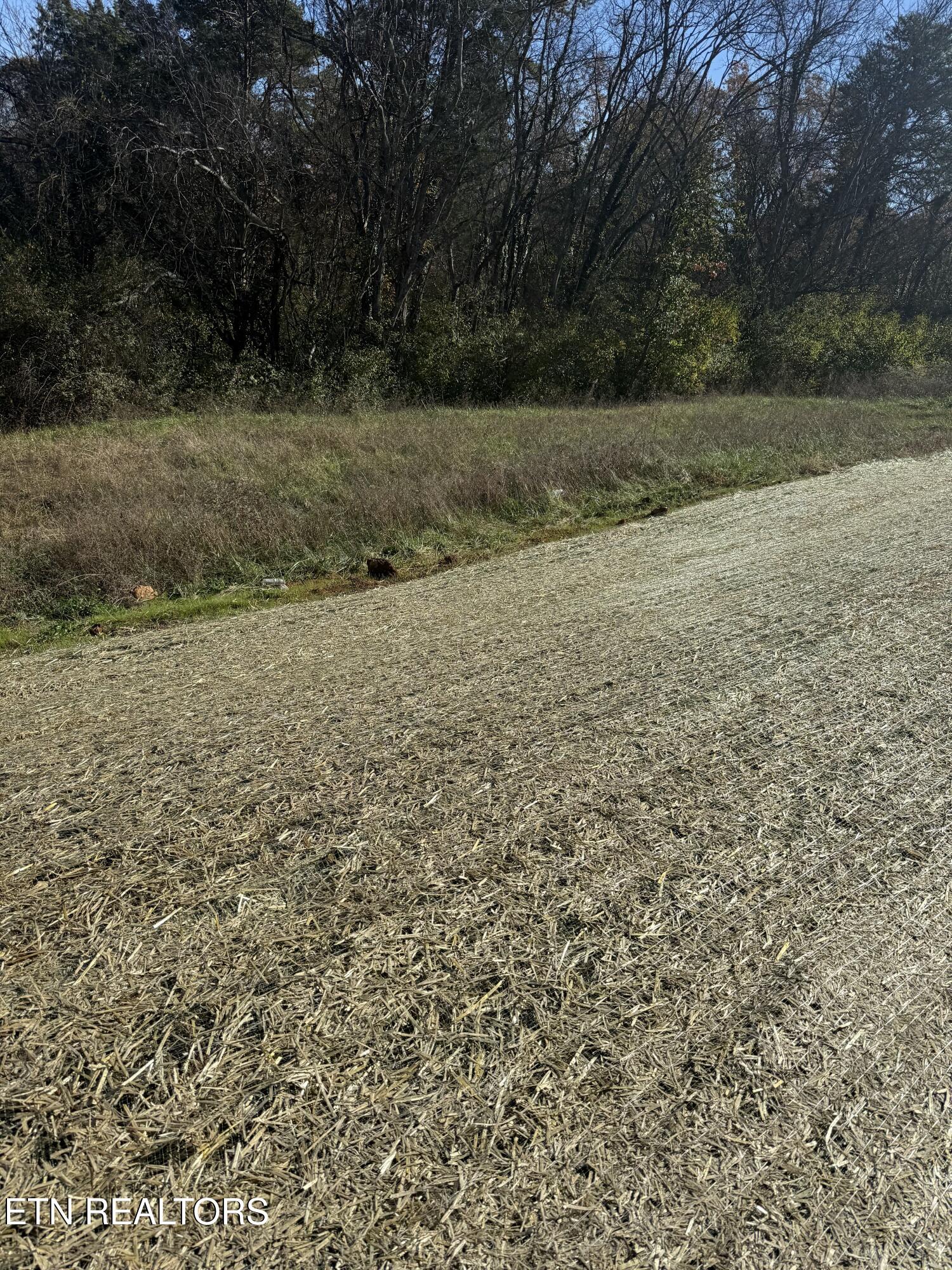 1726 Bennett Village Drive