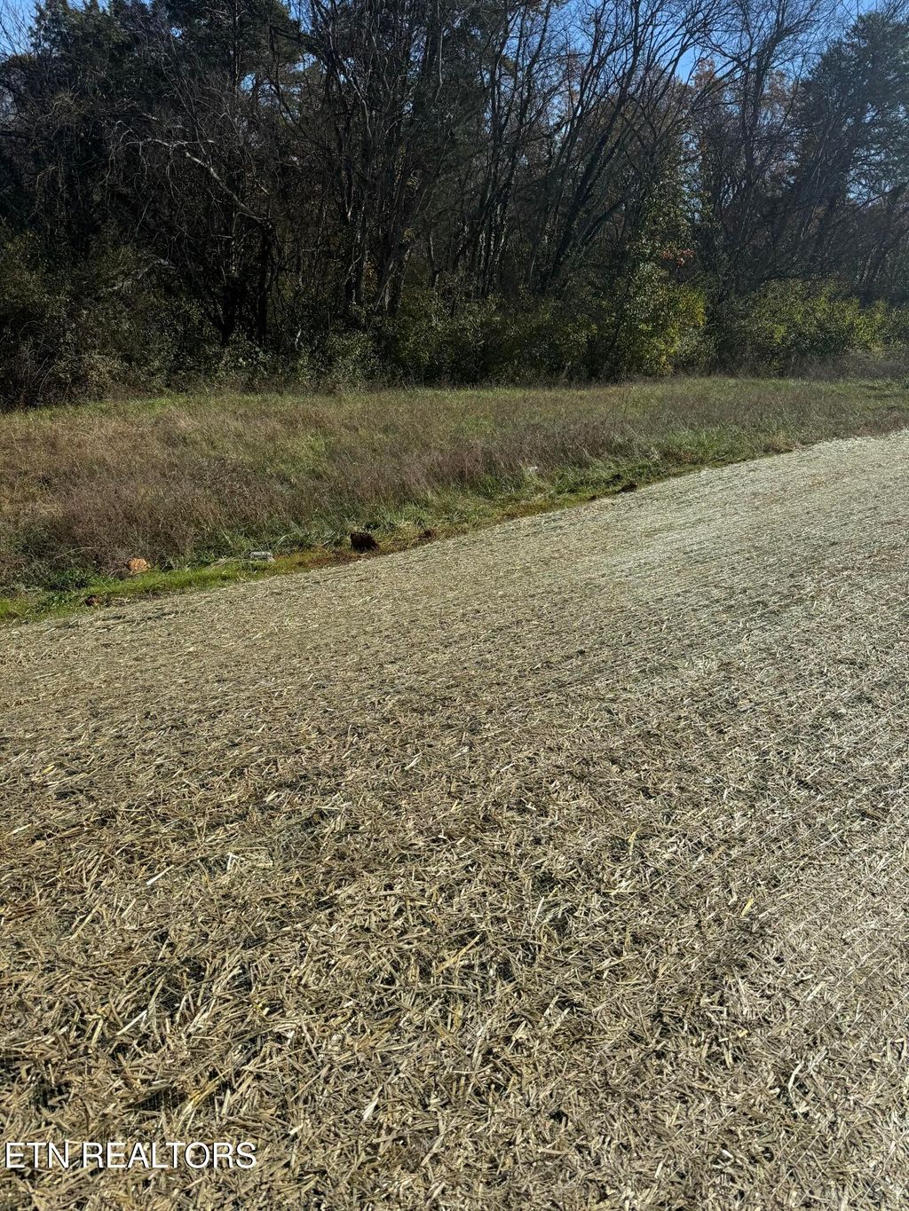 Photo of 1726 Bennett Village Drive, Maryville, TN 37804 (MLS # 1322021)