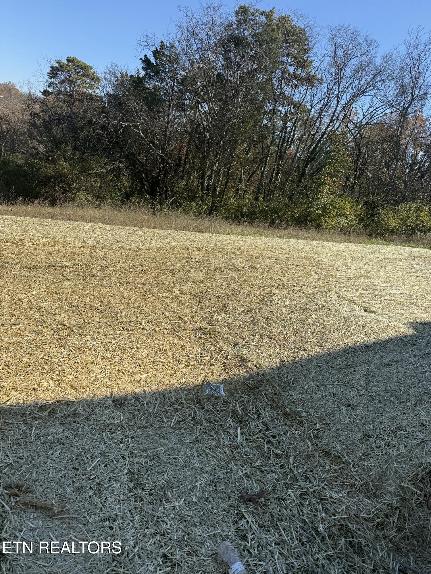 1726 Bennett Village Drive