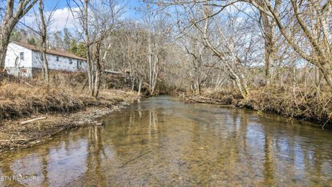 Tiny photo for 1964 Little Valley Rd, Sevierville, TN 37862 (MLS # 1329317)