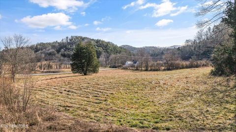 Tiny photo for 1964 Little Valley Rd, Sevierville, TN 37862 (MLS # 1329317)