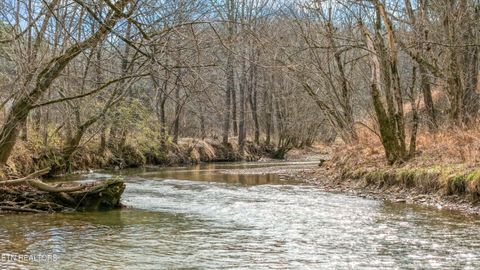 Tiny photo for 1964 Little Valley Rd, Sevierville, TN 37862 (MLS # 1329317)