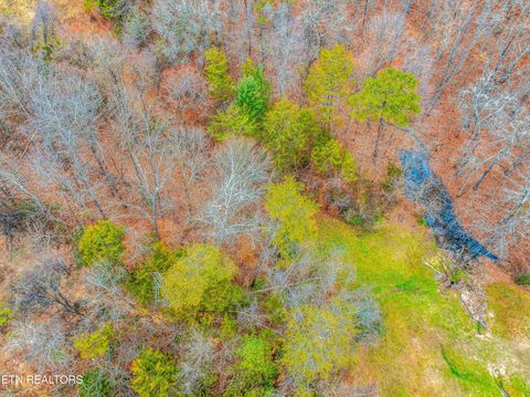 Tiny photo for 0 Highway 321, Newport, TN 37821 (MLS # 1327537)