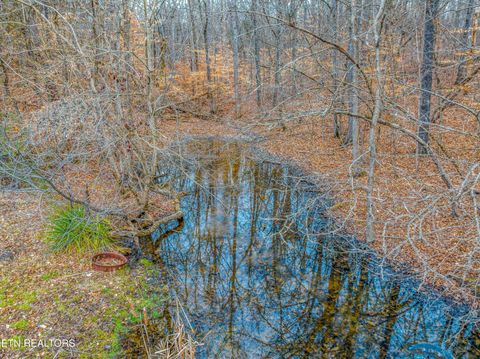 Tiny photo for 0 Highway 321, Newport, TN 37821 (MLS # 1327537)