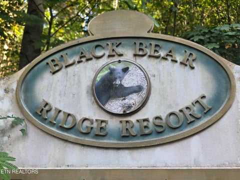 Tiny photo for Black Bear Cub Way Way, Pigeon Forge, TN 37862 (MLS # 1357564)