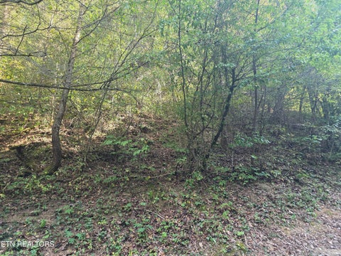 Tiny photo for Black Bear Cub Way Way, Pigeon Forge, TN 37862 (MLS # 1357564)