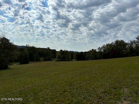 Tiny photo for 180 Wallace Farm Lane, Clinton, TN 37716 (MLS # 1319387)