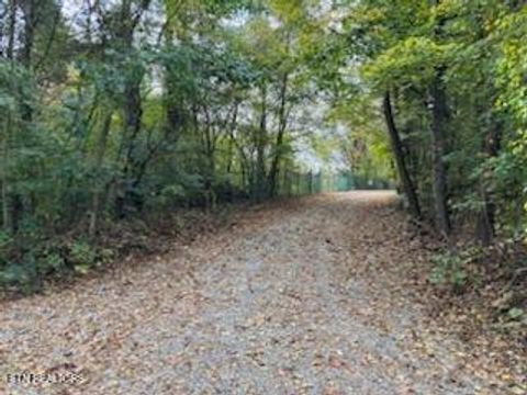 Tiny photo for 180 Wallace Farm Lane, Clinton, TN 37716 (MLS # 1319387)