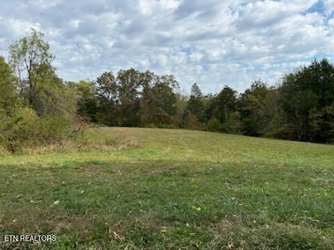 Photo of 180 Wallace Farm Lane, Clinton, TN 37716 (MLS # 1319387)