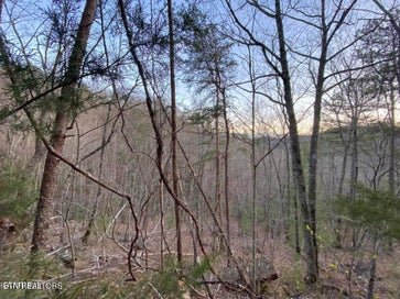 Beechwood St Sevierville TN 37876