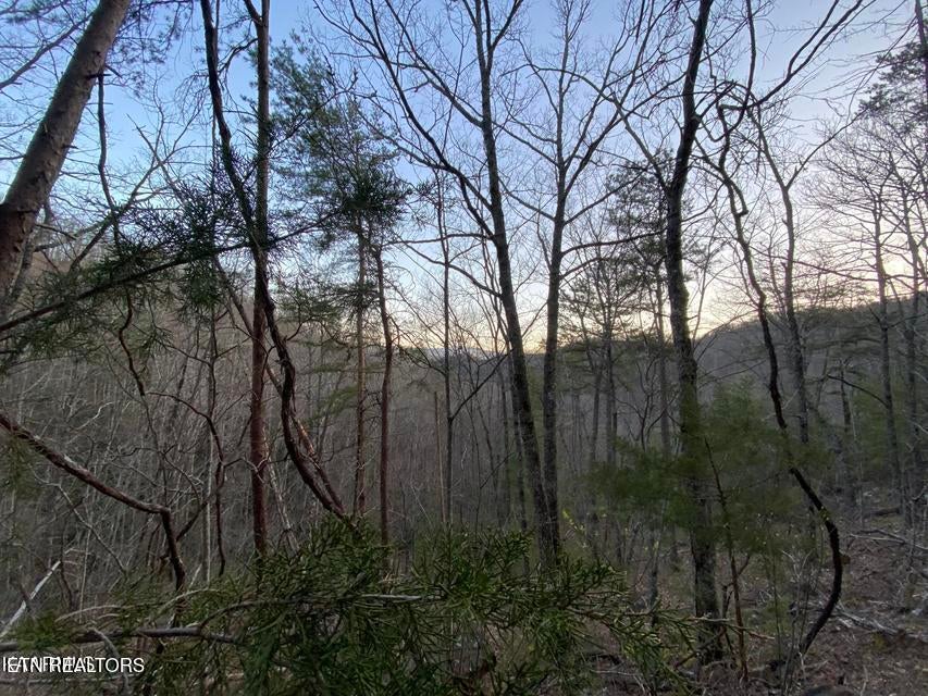 Photo of Beechwood St, Sevierville, TN 37876 (MLS # 1358616)