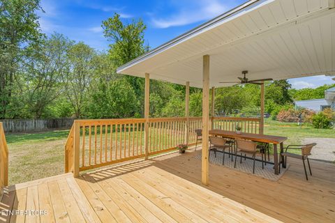 Tiny photo for 5317 Rowan Rd, Knoxville, TN 37912 (MLS # 1337779)