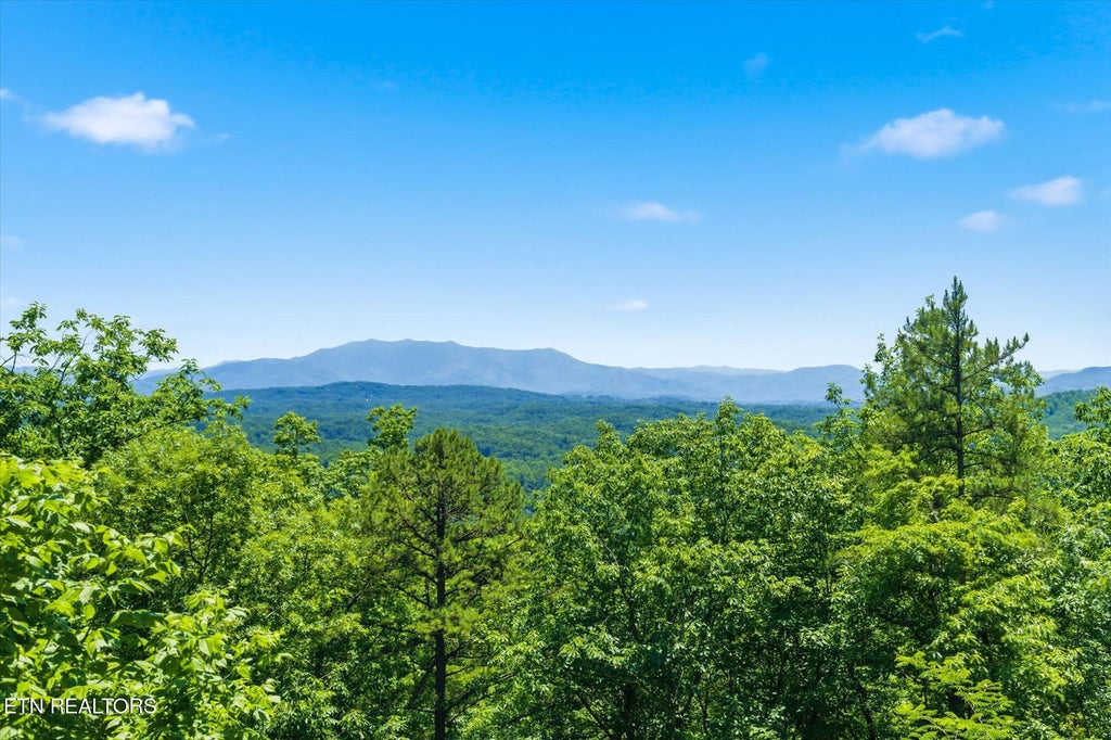 Photo of 1846 Blue Tick Way, Sevierville, TN 37876 (MLS # 1343793)