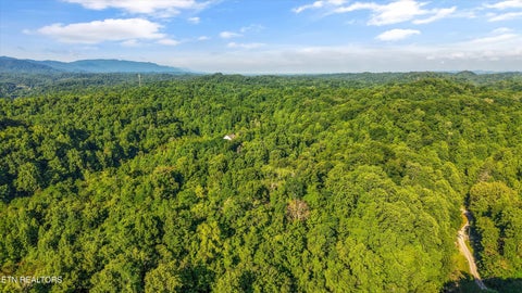 Photo of 1717 Long Branch Rd, Seymour, TN 37865 (MLS # 1345249)
