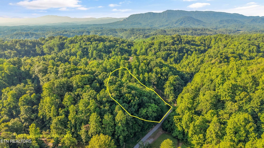Photo of 1717 Long Branch Rd, Seymour, TN 37865 (MLS # 1345249)