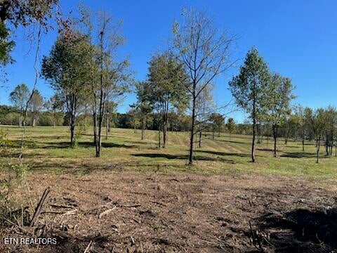 Photo of Stone Mill Lot 4 Rd, Jacksboro, TN 37757 (MLS # 1357926)