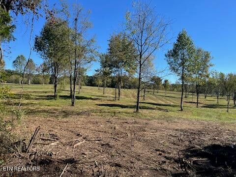 Photo of Stone Mill Lot 4 Rd, Jacksboro, TN 37757 (MLS # 1357926)