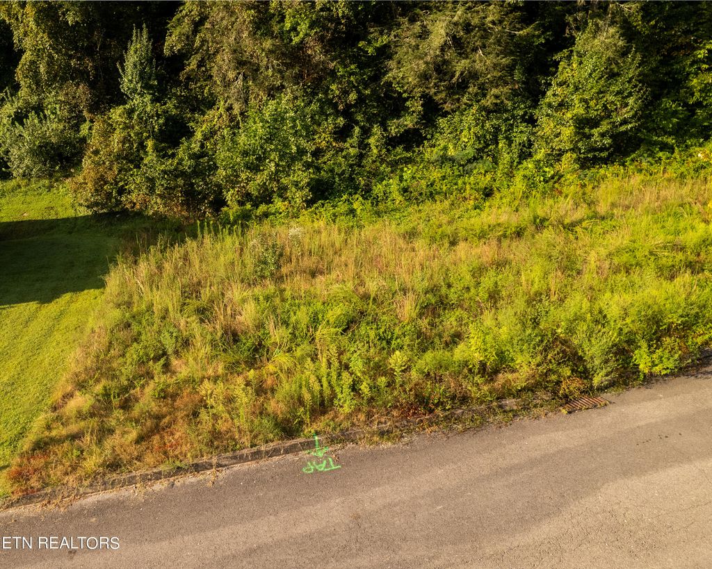 Photo of 3139 Cherokee Valley Drive, Pigeon Forge, TN 37862 (MLS # 1267137)