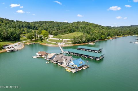 Tiny photo for 175 Lot Waterside Lane, LaFollette, TN 37766 (MLS # 1317524)